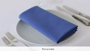 Napkin Hire London 23